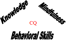 CQ: Knowledge, Mindfulness, Behavioral Skills